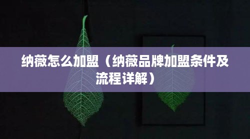 纳薇怎么加盟（纳薇品牌加盟条件及流程详解）