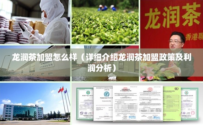 龙润茶加盟怎么样（详细介绍龙润茶加盟政策及利润分析）