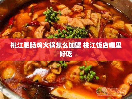 桃江肥肠鸡火锅怎么加盟 桃江饭店哪里好吃