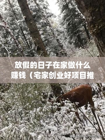 放假的日子在家做什么赚钱（宅家创业好项目推荐）