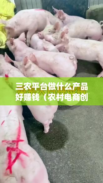 三农平台做什么产品好赚钱（农村电商创业项目推荐）