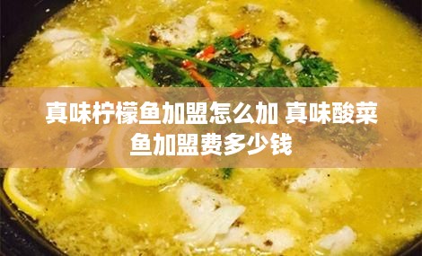 真味柠檬鱼加盟怎么加 真味酸菜鱼加盟费多少钱