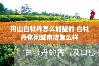 舟山白牡丹怎么加盟的 白牡丹休闲城南店怎么样