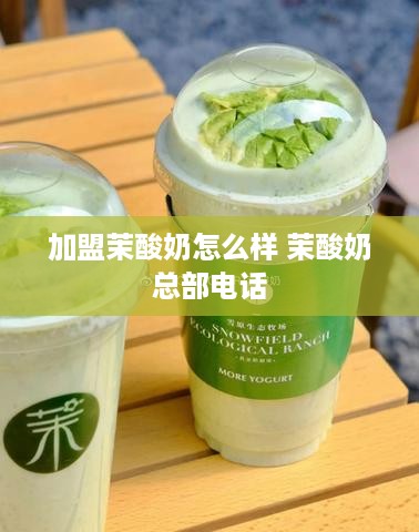 加盟茉酸奶怎么样 茉酸奶总部电话