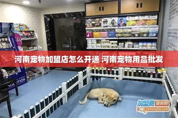 河南宠物加盟店怎么开通 河南宠物用品批发