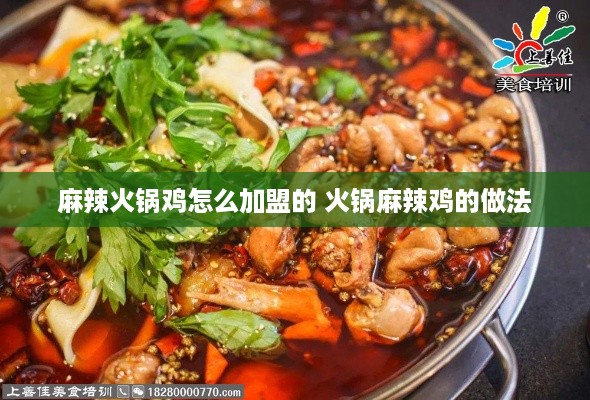 麻辣火锅鸡怎么加盟的 火锅麻辣鸡的做法