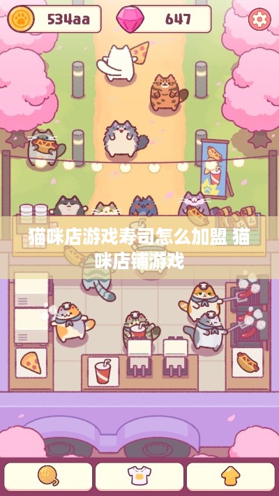 猫咪店游戏寿司怎么加盟 猫咪店铺游戏