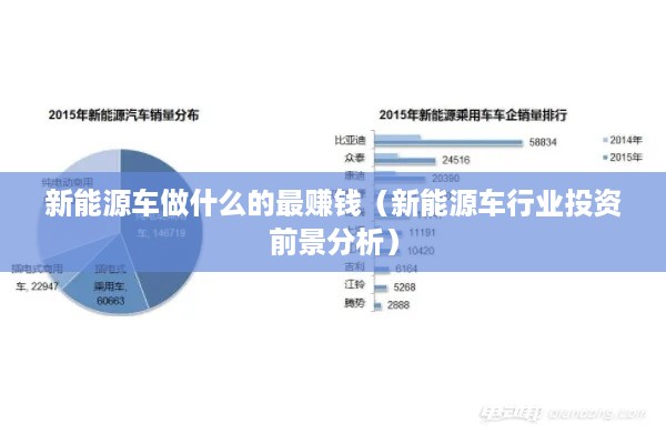 新能源车做什么的最赚钱（新能源车行业投资前景分析）