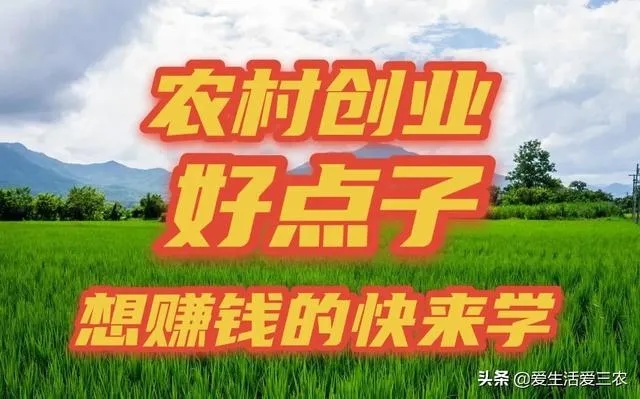 三农做什么生意最赚钱（农村创业项目推荐）