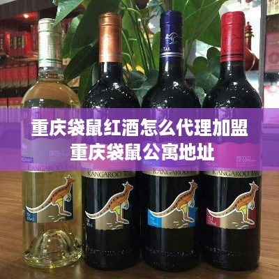 重庆袋鼠红酒怎么代理加盟 重庆袋鼠公寓地址