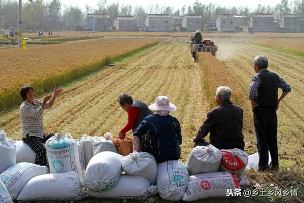 农村做什么可赚钱快点 农村做什么可赚钱快点的工作