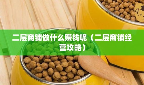 二层商铺做什么赚钱呢（二层商铺经营攻略）