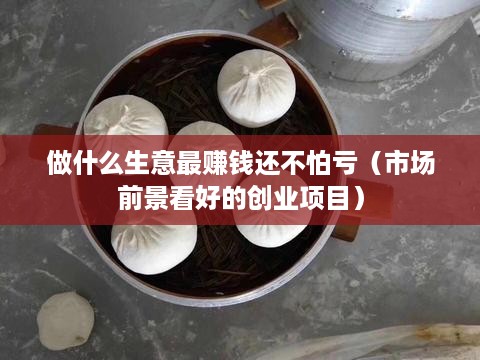 做什么生意最赚钱还不怕亏（市场前景看好的创业项目）