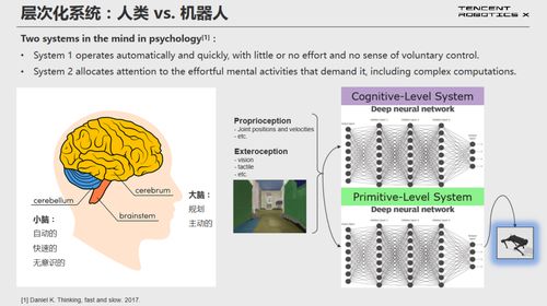 ceo共享洗车加盟费多少（详解加盟条件和费用）