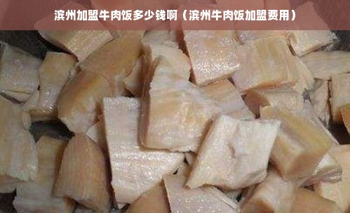 滨州加盟牛肉饭多少钱啊（滨州牛肉饭加盟费用）