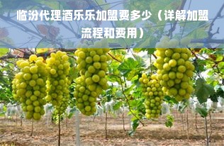 临汾代理酒乐乐加盟费多少（详解加盟流程和费用）