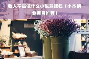 收入不高做什么小生意赚钱（小本创业项目推荐）