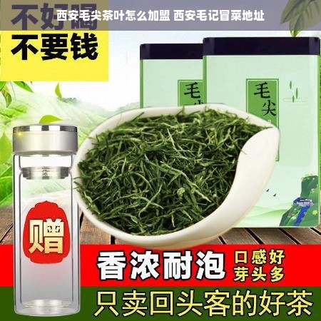 西安毛尖茶叶怎么加盟 西安毛记冒菜地址