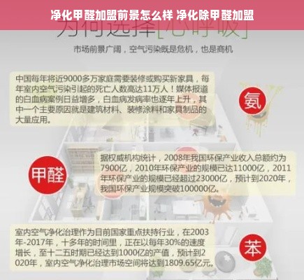 净化甲醛加盟前景怎么样 净化除甲醛加盟