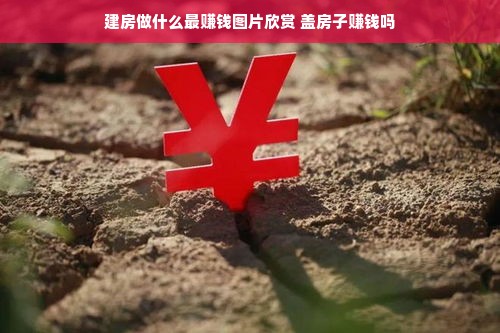 建房做什么最赚钱图片欣赏 盖房子赚钱吗