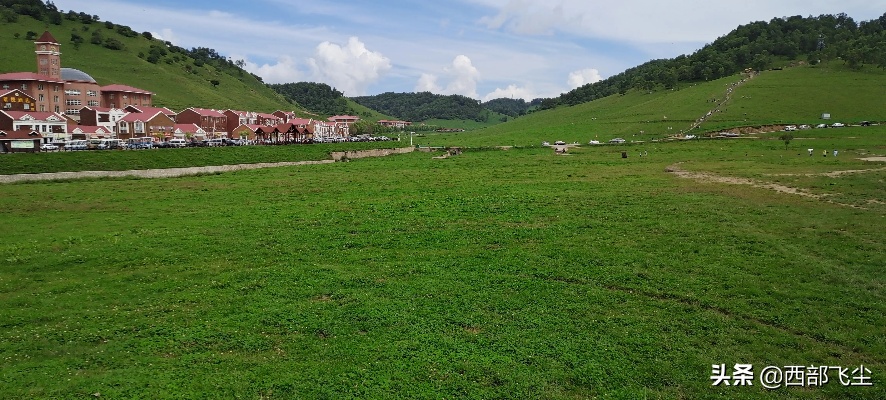 关山牧场做什么生意好赚钱 关山牧场做什么生意好赚钱呢