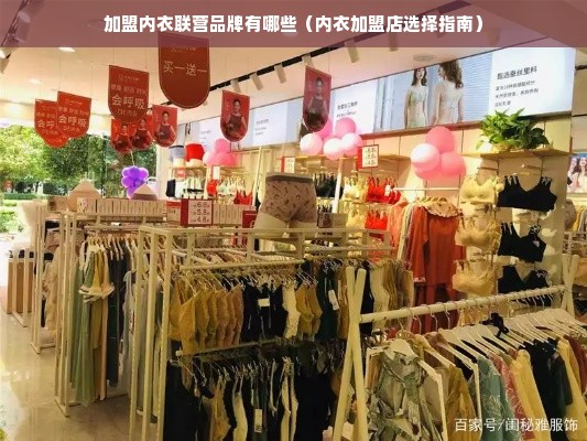 加盟内衣联营品牌有哪些（内衣加盟店选择指南）