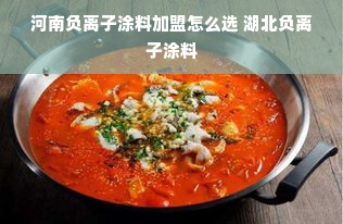 河南负离子涂料加盟怎么选 湖北负离子涂料