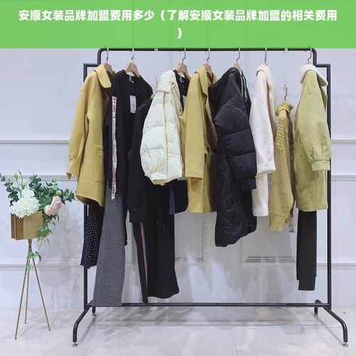 安顺女装品牌加盟费用多少（了解安顺女装品牌加盟的相关费用）