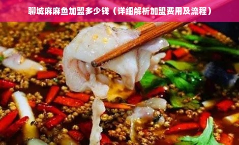 聊城麻麻鱼加盟多少钱（详细解析加盟费用及流程）