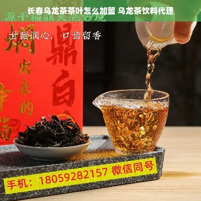 长春乌龙茶茶叶怎么加盟 乌龙茶饮料代理