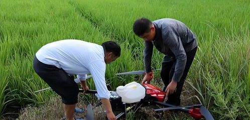 湖南农村过年做什么生意赚钱 湖南农村适合做什么项目