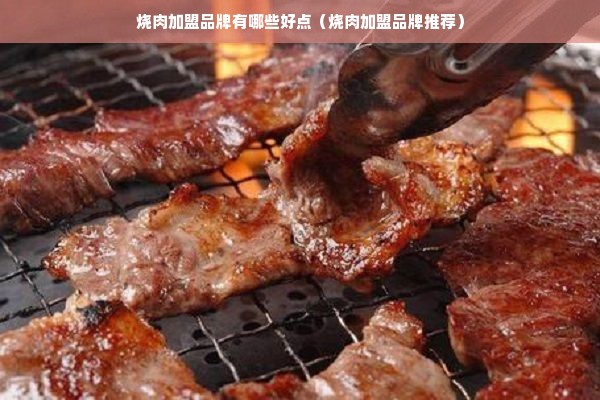 烧肉加盟品牌有哪些好点（烧肉加盟品牌推荐）