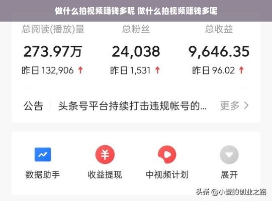 做什么拍视频赚钱多呢 做什么拍视频赚钱多呢