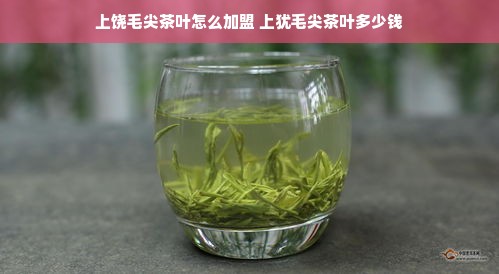 上饶毛尖茶叶怎么加盟 上犹毛尖茶叶多少钱