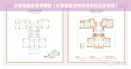 红薯加盟品牌有哪些（红薯加盟店值得投资的品牌推荐）