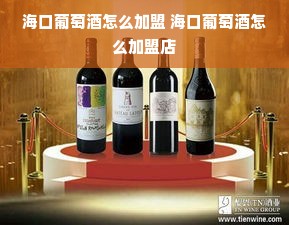 海口葡萄酒怎么加盟 海口葡萄酒怎么加盟店