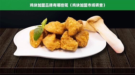 鸡块加盟品牌有哪些呢（鸡块加盟市场调查）