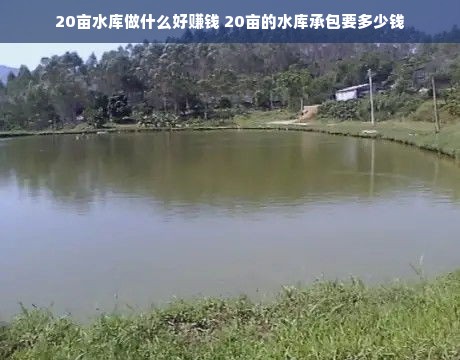 20亩水库做什么好赚钱 20亩的水库承包要多少钱