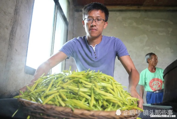 农村小哥转行做什么好赚钱 在农村干点什么赚钱