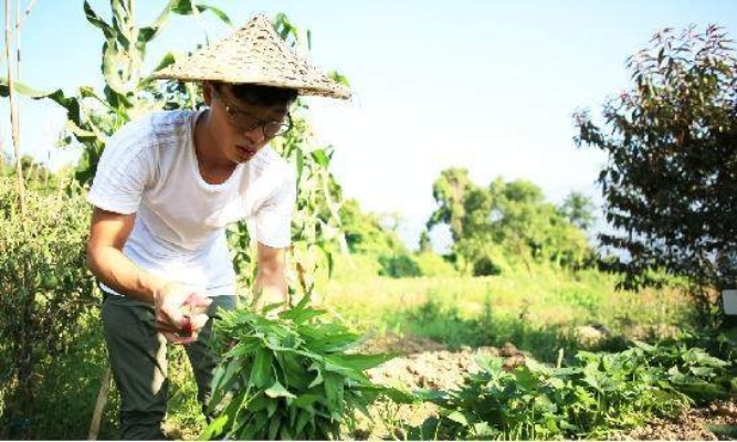 农村小哥转行做什么好赚钱 在农村干点什么赚钱