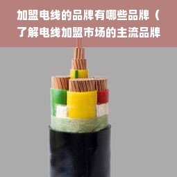 加盟电线的品牌有哪些品牌（了解电线加盟市场的主流品牌）