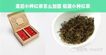 龙岩小种红茶怎么加盟 福建小种红茶