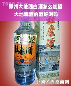 郑州大地魂白酒怎么加盟 大地魂酒的酒好喝吗