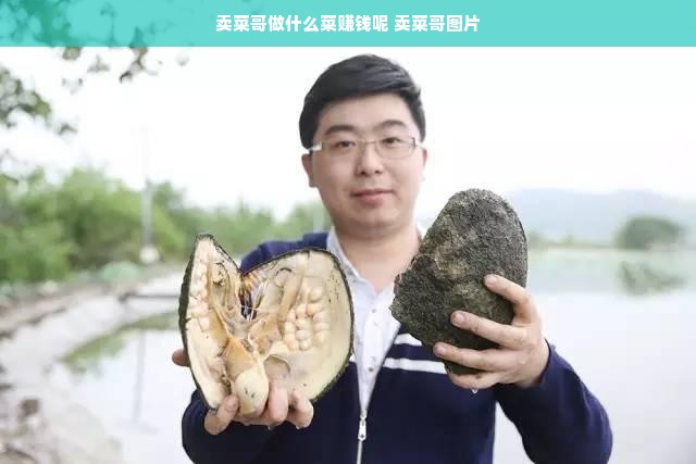 卖菜哥做什么菜赚钱呢 卖菜哥图片