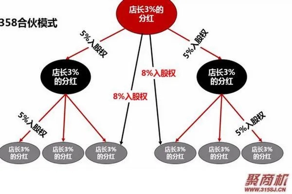 设计公司加盟怎么分红（加盟商分红机制）