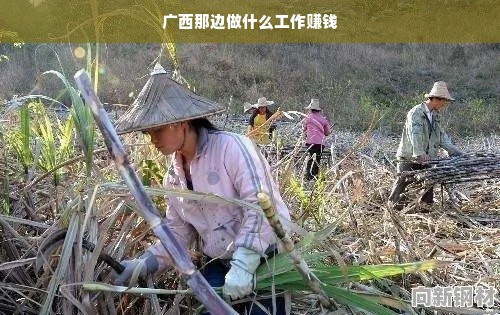 盘点那些既防风又节能的厨具品牌，让你的厨房更环保！