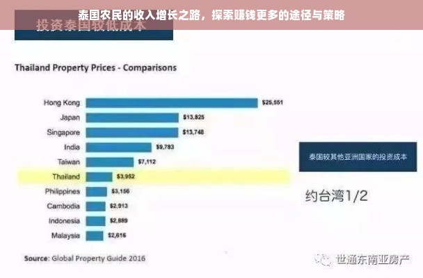 泰国农民的收入增长之路，探索赚钱更多的途径与策略