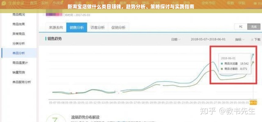 新淘宝店做什么类目赚钱，趋势分析、策略探讨与实践指南