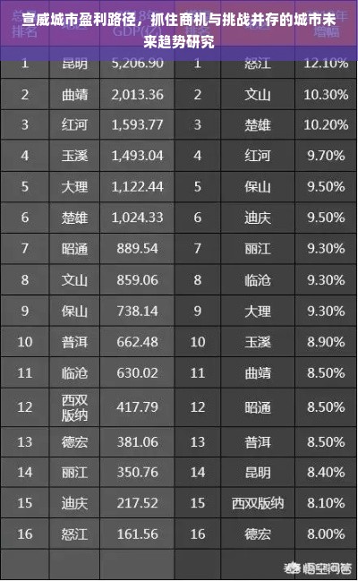 宣威城市盈利路径，抓住商机与挑战并存的城市未来趋势研究