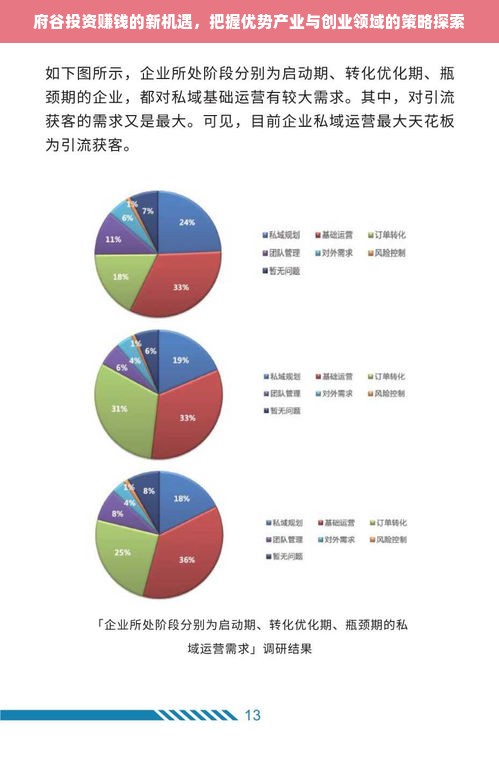 府谷投资赚钱的新机遇，把握优势产业与创业领域的策略探索